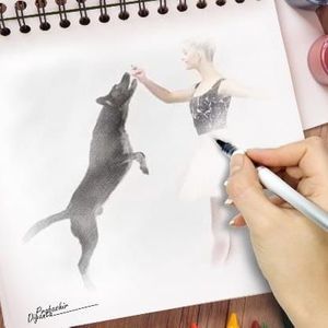 Meet your Posher, Stella